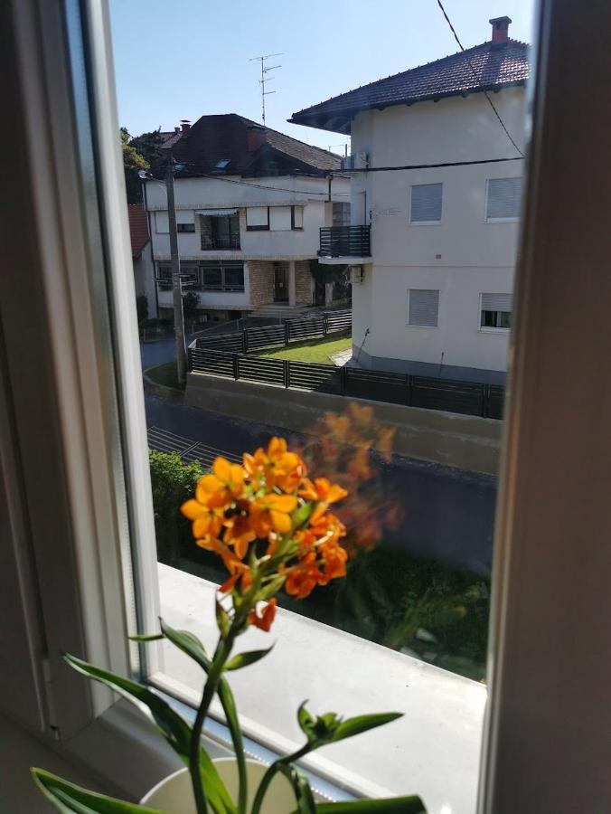 Drash Apartment *